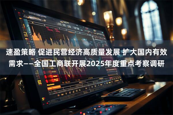 速盈策略 促进民营经济高质量发展 扩大国内有效需求——全国工商联开展2025年度重点考察调研