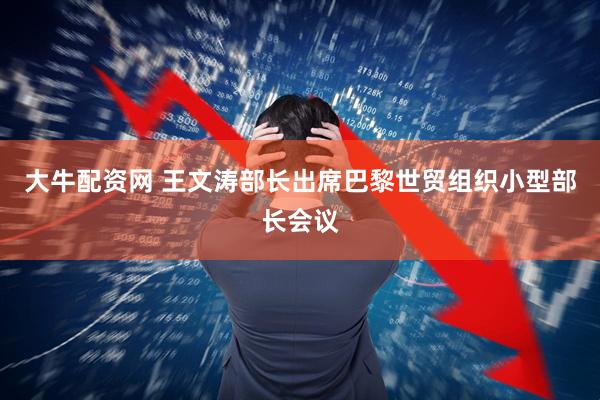大牛配资网 王文涛部长出席巴黎世贸组织小型部长会议