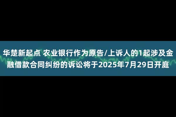 华楚新起点 农业银行作为原告/上诉人的1起涉及金融借款合同纠纷的诉讼将于2025年7月29日开庭