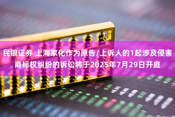民银证券 上海家化作为原告/上诉人的1起涉及侵害商标权纠纷的诉讼将于2025年7月29日开庭