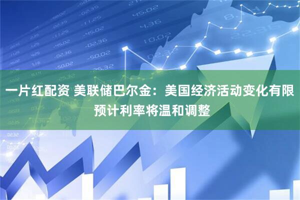 一片红配资 美联储巴尔金：美国经济活动变化有限 预计利率将温和调整