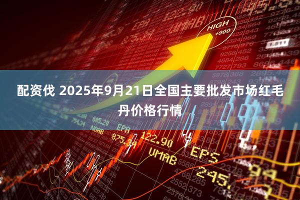 配资伐 2025年9月21日全国主要批发市场红毛丹价格行情