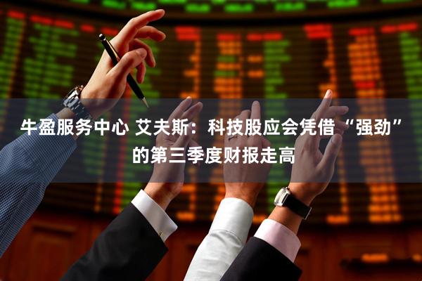 牛盈服务中心 艾夫斯：科技股应会凭借 “强劲” 的第三季度财报走高