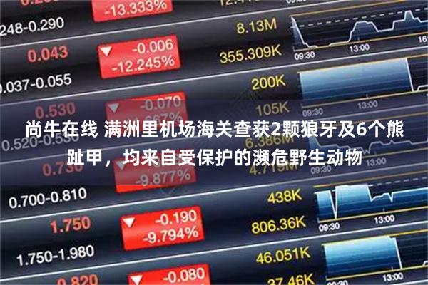 尚牛在线 满洲里机场海关查获2颗狼牙及6个熊趾甲,均来自受保护的濒危野生动物